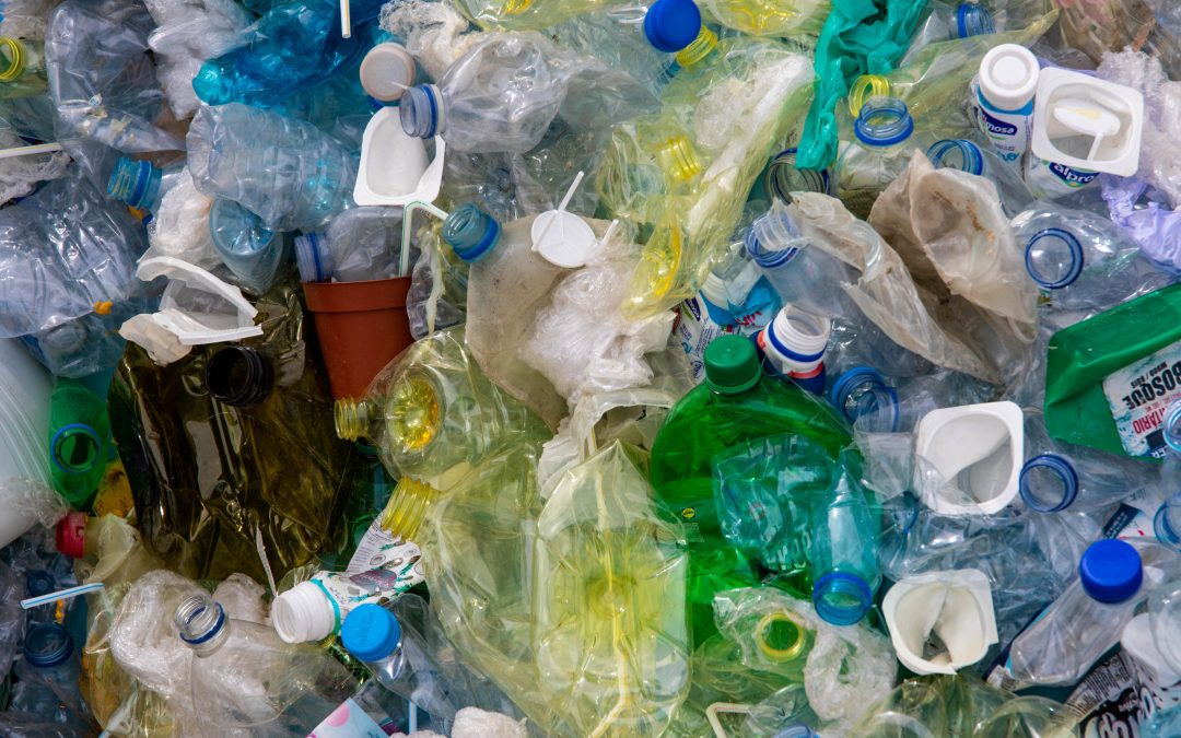 Green councillor renews calls to end single-use plastics after ‘ocean emergency’ declaration.